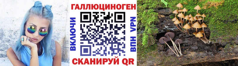 Псилоцибиновые грибы MAGIC MUSHROOMS  Купить где  Бирюч 